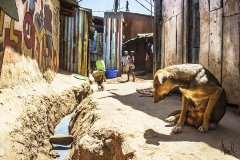 Nairobi: Kibera slum